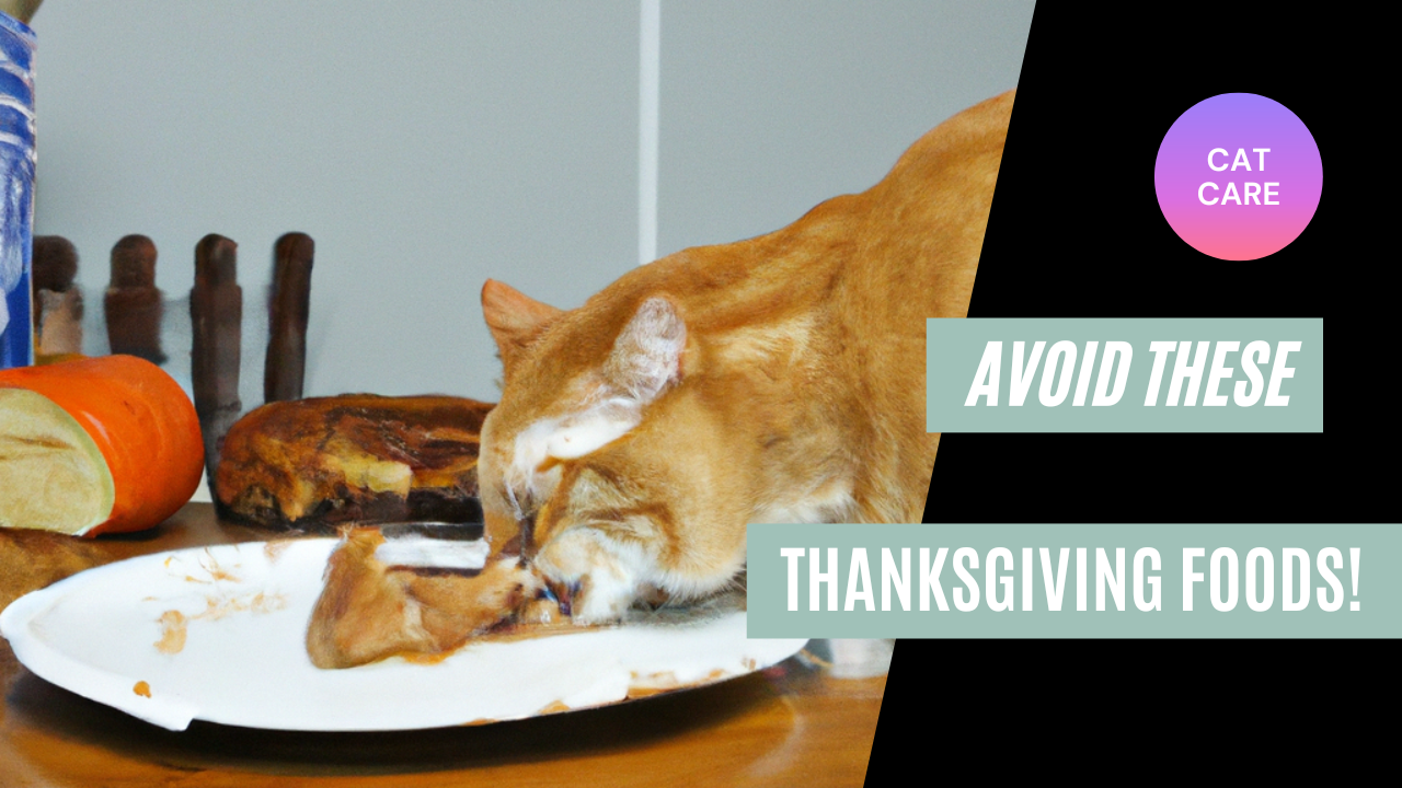 6 Thanksgiving Foods That Are Toxic To Cats + How To Avoid Them ...